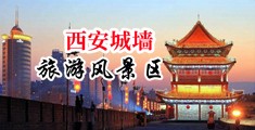 日bb日进去中国陕西-西安城墙旅游风景区